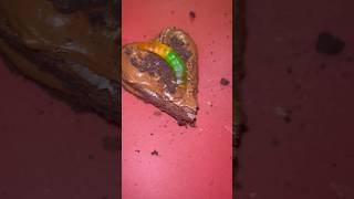 Quick 👩‍🍳 CRUMBL 🍪 Dirt Cake 🪱 Dupe So Good [upl. by Olin]