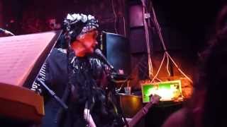 Lene Lovich  Home live [upl. by Torry]