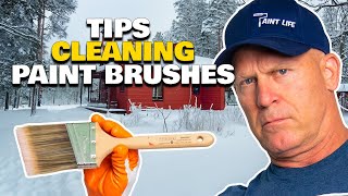 Cleaning A Paint Brush Life Hacks to Clean Painting Tools [upl. by Noffets]