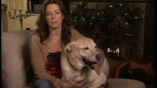 Sarah McLachlan quotSilent Nightquot SPCA Commercial [upl. by Agathe]