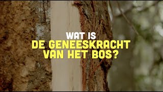 Busi Taki Wat is de geneeskracht van het bos S0203 [upl. by Ilatan]