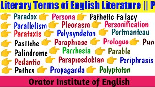 Literary Terms of English Literature in Hindi  P [upl. by Tihw]