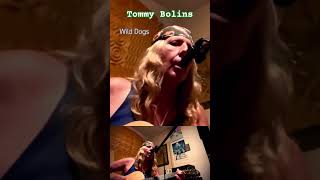 Tommy Bolins Wild Dogs acousticcover rock [upl. by Ahsekahs]