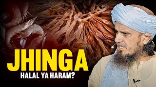 Jhinga Halal Ya Haram  Mufti Tariq Masood [upl. by Esirtal]