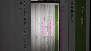 Difference between Hexokinase amp Glucokinase [upl. by Buseck]