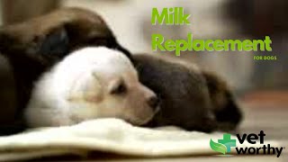 Vet Worthy Milk Replacement for Puppies [upl. by Klatt]