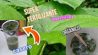 ESTE FERTILIZANTE ES MAS PODEROSO Y EFICIENTE QUE CUALQUIER ABONO Y ES NATURAL BARATO Y CASERO [upl. by Ahsemit]