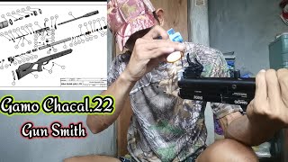 Tutorial on How to DisassembleGamo Chacal Gamo PhoxGamo UrbanGamo GX40Gamo Coyote [upl. by Ingeborg40]