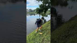 Peacock bass fishnfunoutdoors fishspecies outdoors fun funny fishing fish KastKing [upl. by Darcee25]