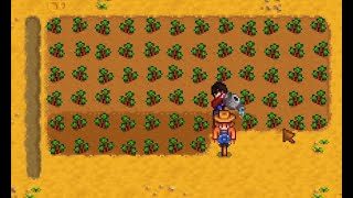 🔴STARDEW VALLEY APAKAH MUSIM INI KITA AKAN MEMANEN BUAH STROBERI DAN MENDAPATKAN BANYAK GOLD 3 [upl. by Nilyahs]