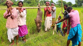 How to Clean and Cook full 50 kg PIG in their village style  BIG PORK meat cooking by tribal people [upl. by Clarence]