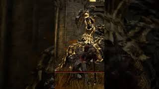 Draconic Tree Sentinel Cheese Parry Strat [upl. by Tullius431]