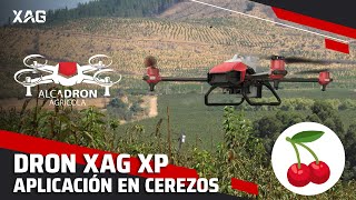 Drones XAG XP en Acción Aplicaciones en Cerezos en el Sur de Chile [upl. by Anirbys]