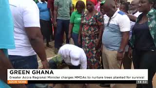 Greater Accra Regional Minister charges MMDAs to nurture trees planted for survival 070724 [upl. by Tterag]