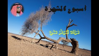 قوانين  أسبوع الشجرة [upl. by Nhguavaj865]