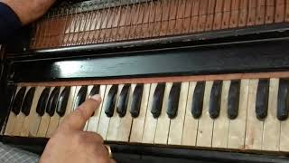 Do Hanson Ka joda  Ganga Jamuna  Harmonium Tutorial  PianoKeyboard Tutorial [upl. by Sirama]