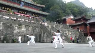 Wudang Fu Hu Quan Taming Tiger Form [upl. by Aicenod]