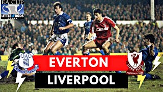 Everton vs Liverpool 44 All Goals amp Highlights  1991 FA Cup [upl. by Acilgna195]