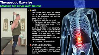 Lumbar Paraspinals  Strengthening Exercises 💪 [upl. by Skrap]