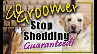 How to stop your dogs from sheddingguaranteed [upl. by Anelas]