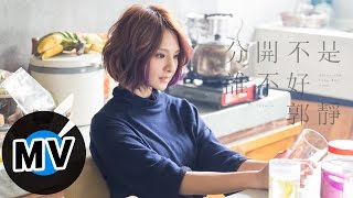 郭靜 Claire Kuo  分開不是誰不好 After the Love Has Gone 官方版MV  韓劇《未生》片尾曲 [upl. by Aigneis]