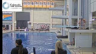 2023 USA Diving Winter Nationals Synchro Prelims Mens 3 Meter and Womens 10Meter [upl. by Rexana]