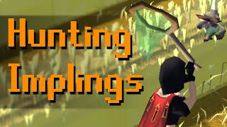 Hunting Implings Money Making Guide Eclectic [upl. by Leiva749]