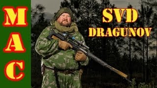 SVD Dragunov [upl. by Euqinaj887]