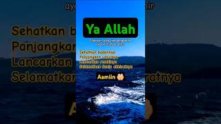 Surat al ikhlas aamiin 🤲🏻 shorts [upl. by Siuluj]