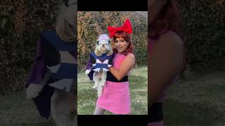 Cute Duo Halloween Costume Ideas for You and Your Dog [upl. by Zinck]