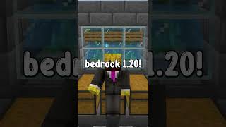 CRAZY KELP XP GLITCH FARM Minecraft Bedrock 120 [upl. by Anelis]