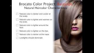 Hair Color HowTo Balayage amp Ombre Tips Tricks and Techniques [upl. by Aicaca]