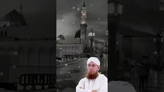 Abdul Habib Attari Nabi E Paak ﷺ ‎NizamEAlam0100 youtubeshorts duet [upl. by Idaline]