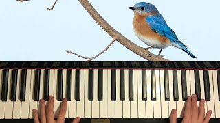 DJ Okawari  Bluebird Story Piano Tutorial Lesson [upl. by Onibas]