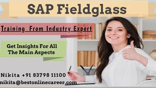 SAP Fieldglass Demo  SAP Fieldglass Tutorial  SAP Fieldglass Training  SAP Fieldglass Session [upl. by Dwain]