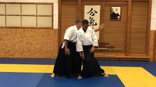 Aikido Shomen uchi by Daniele MONTENEGRO sensei  Riga 2024 [upl. by Senzer697]