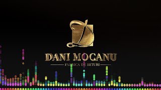 Dani Mocanu  Singur impotriva tuturor  Official Audio [upl. by Ia]