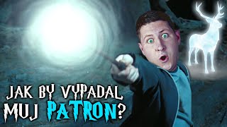 Jak by vypadal můj PATRON [upl. by Abert596]