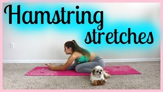 Hamstring stretch Best Hamstring Stretch Ever [upl. by Aratal]