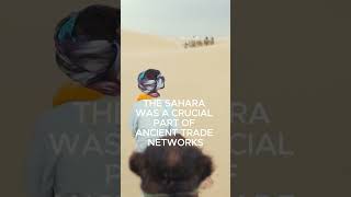 5 mind blowing facts about the Sahara desert facts geography generalknowledge [upl. by Ellatnahc289]