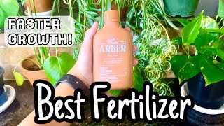 BEST FERTILIZER  My Fertilizing Routine for GROWTH [upl. by Nayr]