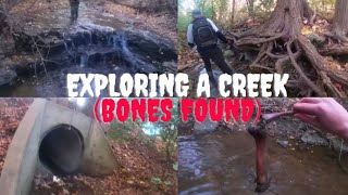 Exploring Creek and Tunnels FOUND BONES [upl. by Rednaxela]