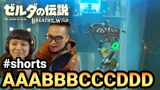 【薩爾達傳說曠野之息】AAABBBCCCDDD shorts shortstw [upl. by Madora]