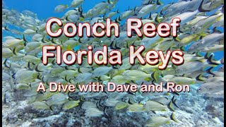 Dave and Ron dive Conch Reef Florida Keys [upl. by Aznerol]