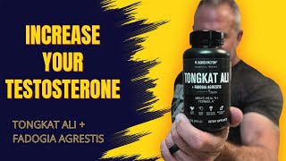 Testosterone Boosters Or Hype Tongkat Ali amp Fadogia Agestis [upl. by Schnabel]