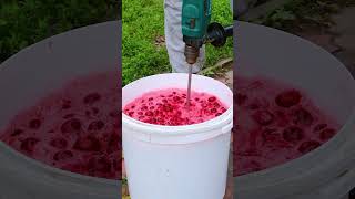 Manly Kitchen Making Cherry Wine Must with a Power Drill Mixer 🍒🍷 [upl. by Sothena]