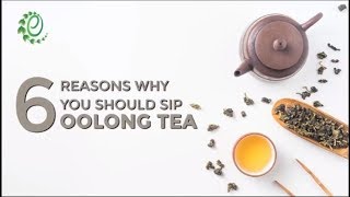 6 Reasons Why You Should Sip Oolong Tea  Organic Facts [upl. by Ariana]