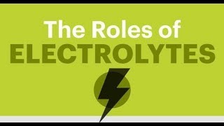 The Role Of Electrolytes In The Body [upl. by Yhtuv]