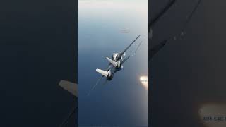 F14 vs Mig29 Dogfight [upl. by Eriha]