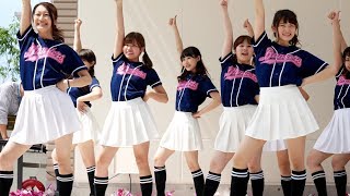 立命館大学チアダンスサークル BLENDERS 真夏のSounds good （AKB48） [upl. by Polik]